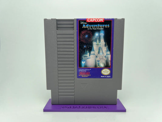 Disney Adventures in Magic Kingdom